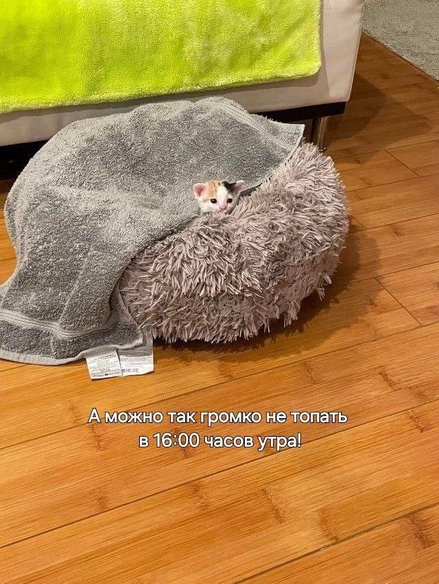 А можно так громко не топать в 16:00 часов утра!