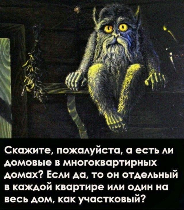 Скажите, пожалуйста, а есть ли домовые в многоквартирных домах? Если да, то он отдельный в каждой квартире или один на весь дом, как участоковый?