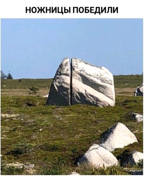 НОЖНИЦЫ ПОБЕДИЛИ