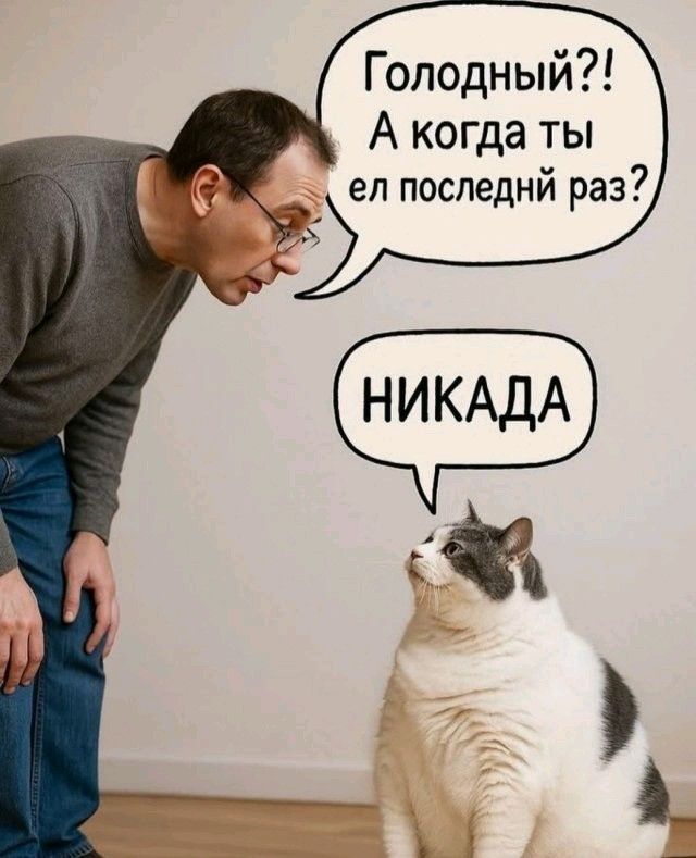 Голодный?! А когда ты ел последний раз? НИКАДА