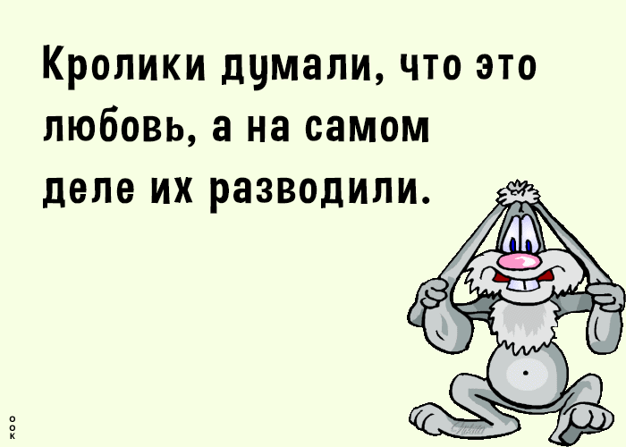 Кролики думали, что это любовь, а на самом деле их развели.