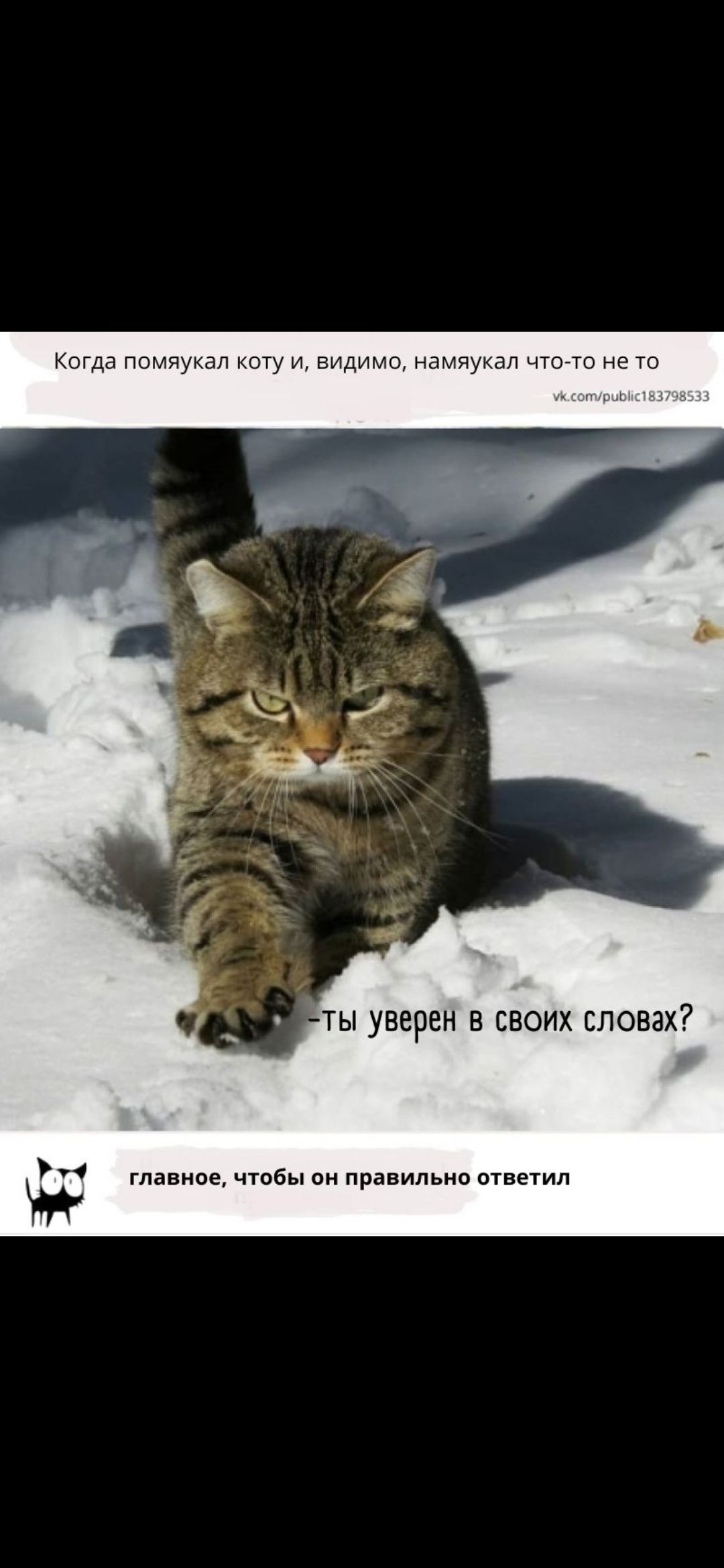 Когда помяукал коту и, видимо, намяукал что-то не то — ты уверен в своих словах?