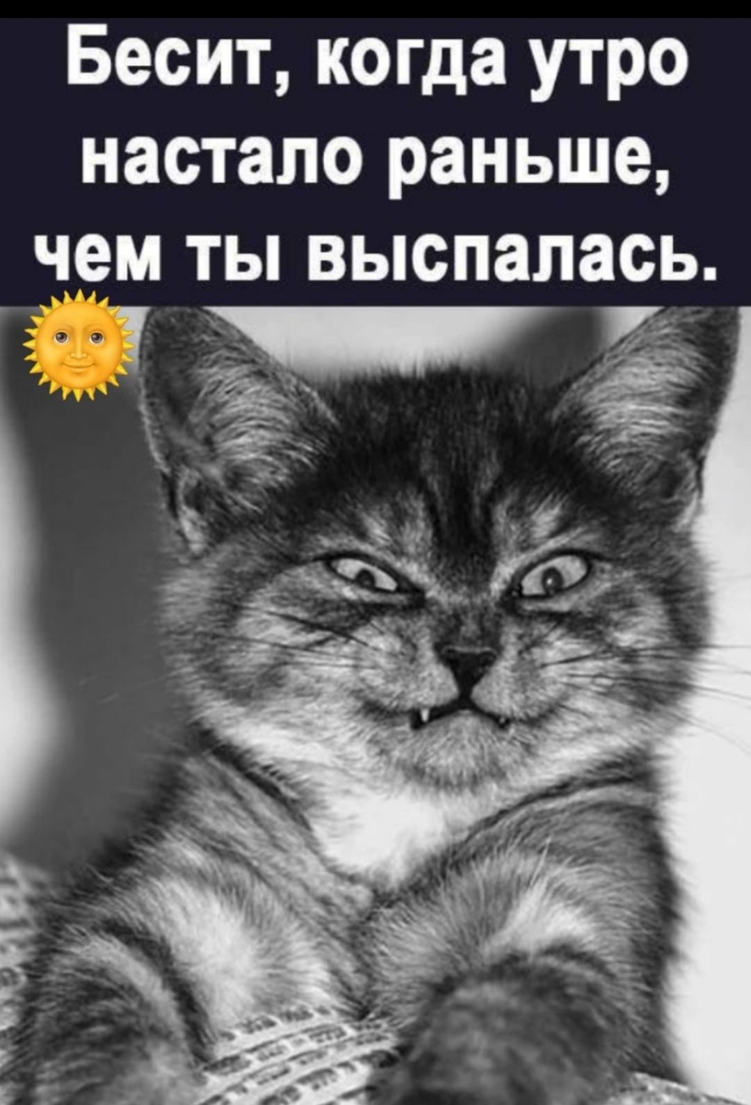 Бесит, когда утро настало раньше, чем ты выспалась.