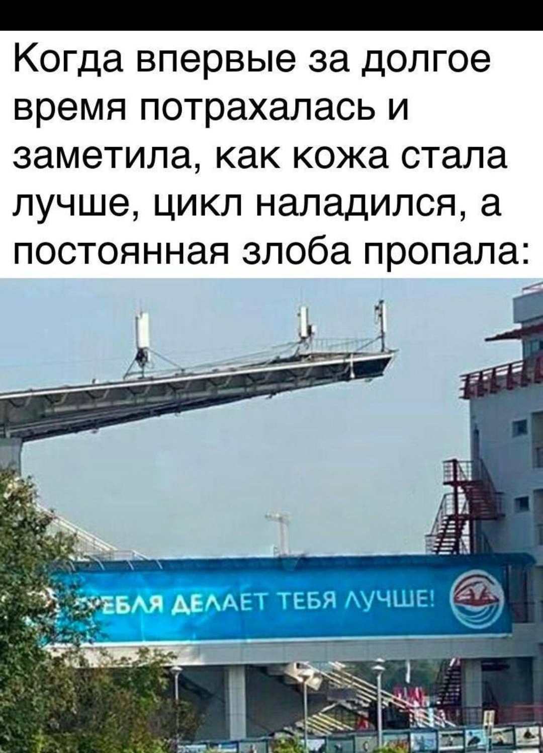 Когда впервые за долгое время потряхалась и заметила, как кожа стала лучше, цикл наладился, а постоянная злоба пропала: