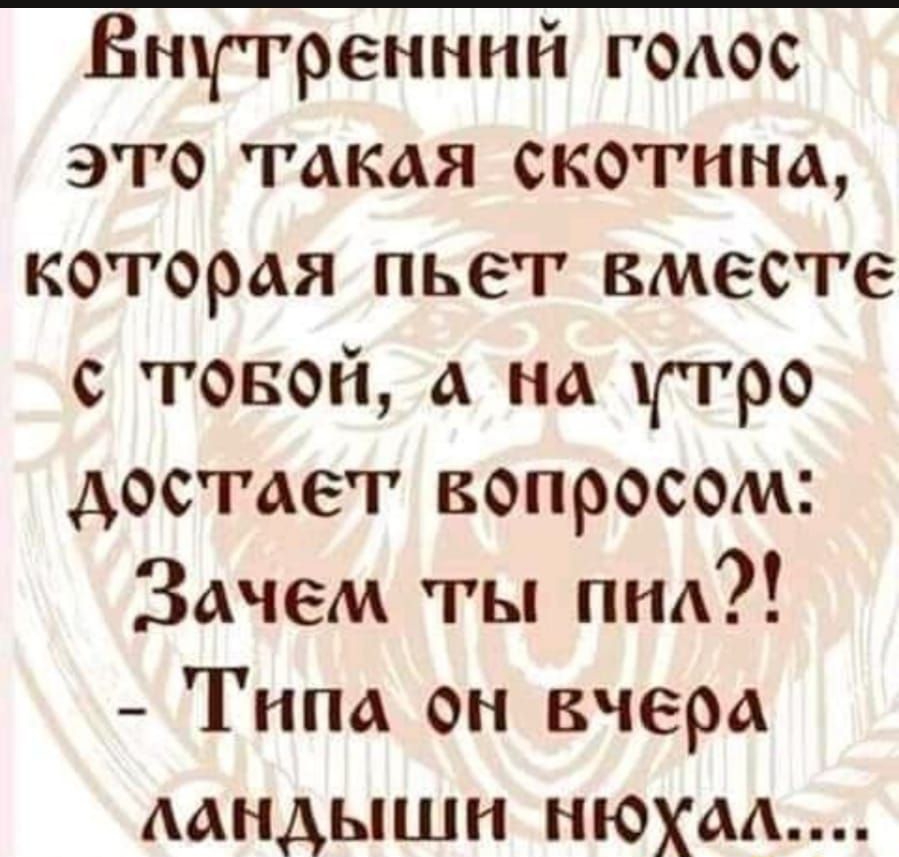 Внутренний гоаос это такая скотина которая пьет вместе с товой а на ггро достает вопросом Зачем ты пнд Типа он вчера аандышн нюхаа