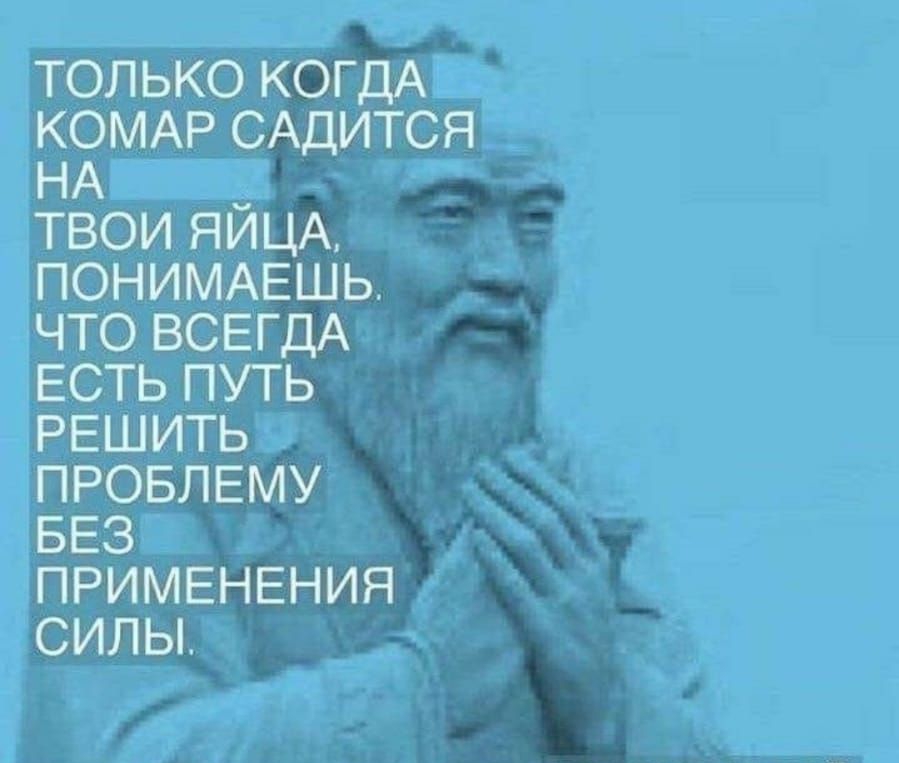 ТОЛЬКО КОГДА КОМАР САДИТСЯ НА ТВОИ ЯЙЦА ПОНИМАЕШЬ ЧТО ВСЕГДА ЕСТЬ ПУТЬ РЕШИТЬ ПРОБЛЕМУ БЕЗ ПРИМЕНЕНИЯ СИЛЫ