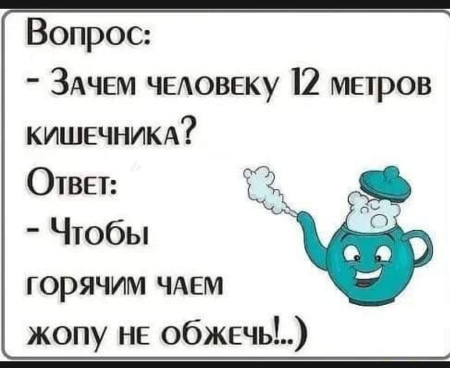 Зачем 12. Зачем человеку 12 метровый кишечник. Зачем человеку 12 метров кишечника прикол. Зачем человеку 12 метров кишечника. Шутку про зачем человеку 12 метров кишок.