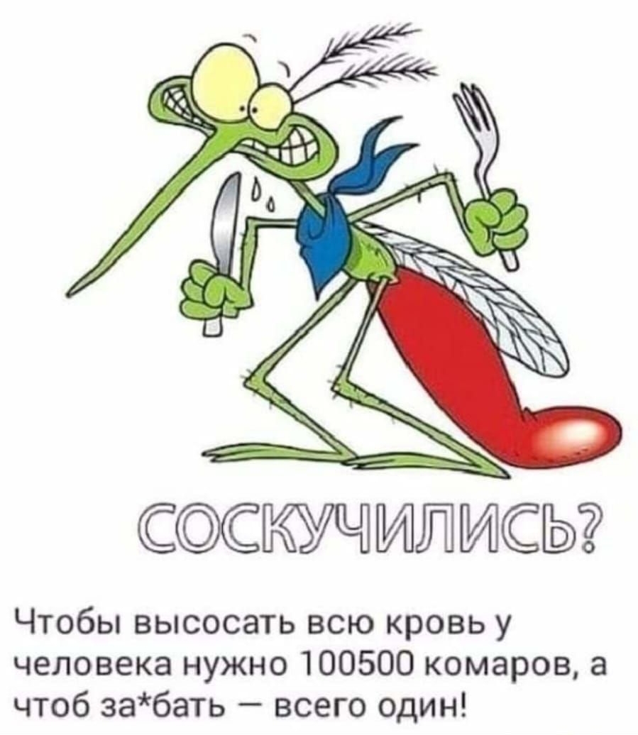 Соскучились? Чтобы высосать всю кровь у человека нужно 100500 комаров, а чтоб забать  всего один!