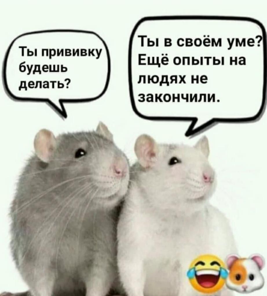 Ты в своём уме Ещё опыты на людях не закончили Ты прививку будешь делать