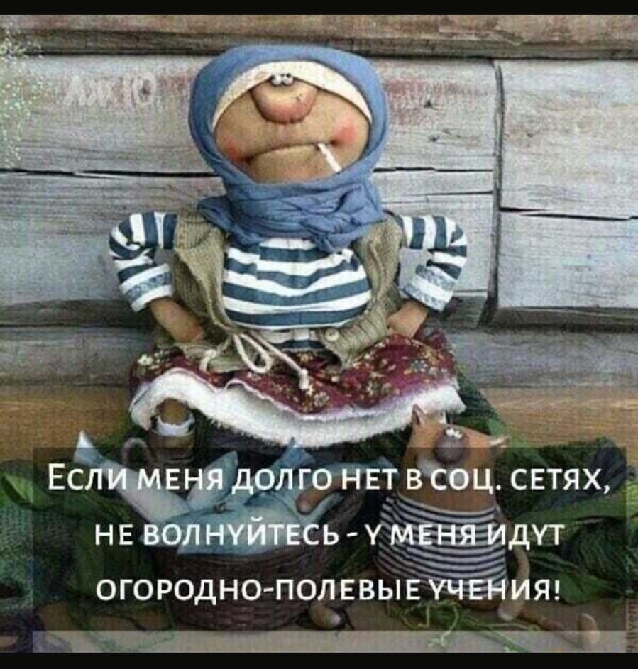 огородно полввывит яд