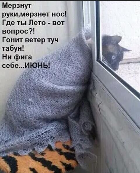 Мерзнут рукимерзнвт нос Где ты Лето вот вопрос Гонит ветер туч табун Ни фига себе