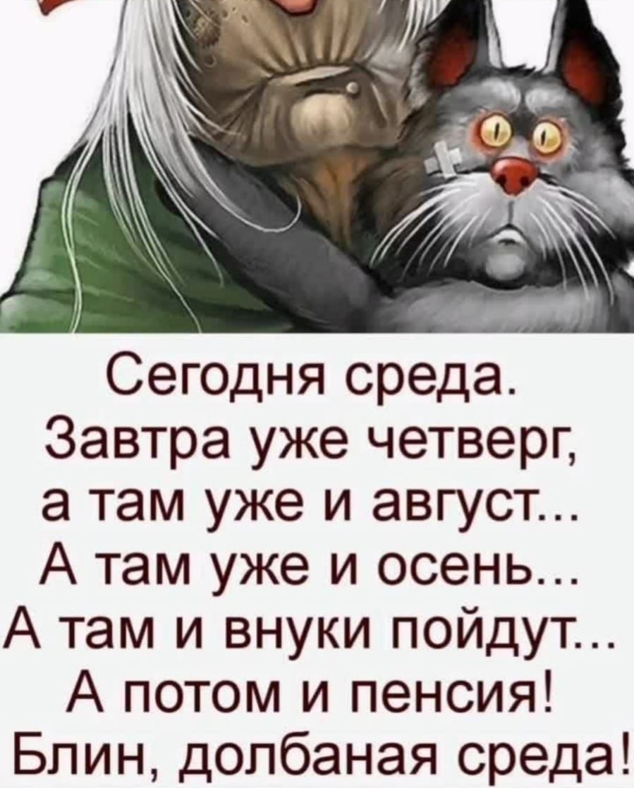 Сегодня среда Завтра уже четверг а там уже и август А там уже и осень А там и внуки пойдут А потом и пенсия Блин допбаная среда