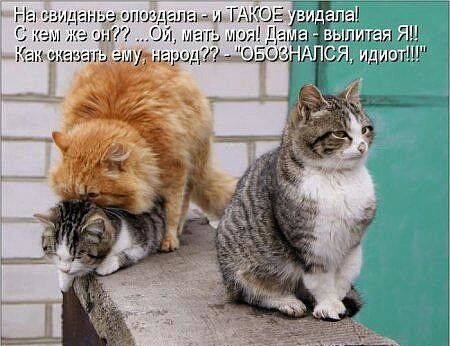 ин Ш Ш