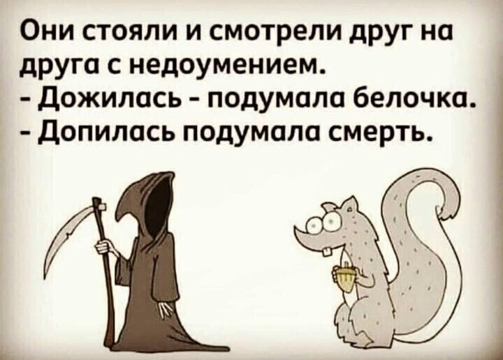 Они стояли и смотрели друг на друга с недоумением Дожилась подумала белочка Допилась подумала смерть