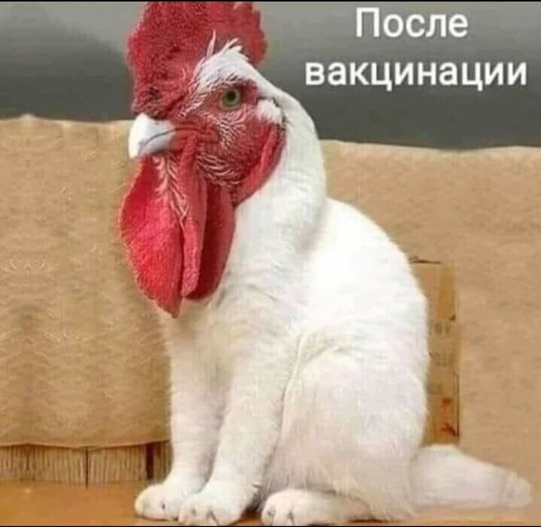 После вакцинации