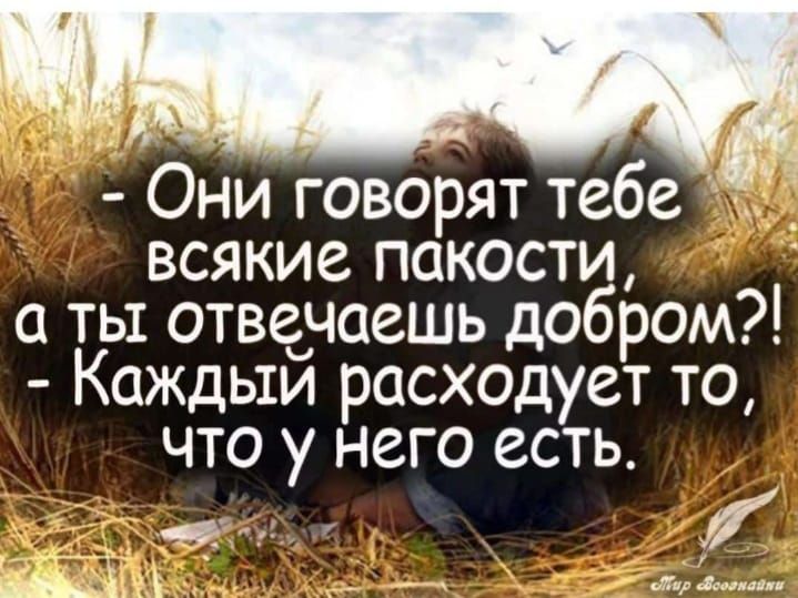 Они говорят тебе всякие пакости а ты отвечаешь добром Каждый расходует то что у него есть итт 5 Г ммм