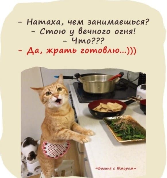 Натаха чем занимлешься Стою у вечного огня Что Да жюш го103мэ эм Юнг ом