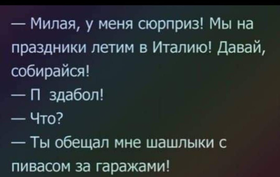 Милая у меня сюрприз Мы на праздники летим в Италию Давай собирайся П здабол Что Ты обещал мне шашлыки с пивасом за гаражами