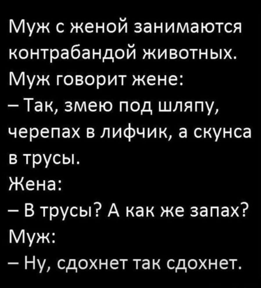 Муж с женой занимаются контрабандой животных Муж говорит жене Так змею под шляпу черепах в лифчик а скунса в трусы Жена В трусы А как же запах Муж Ну сдохнет так сдохнет
