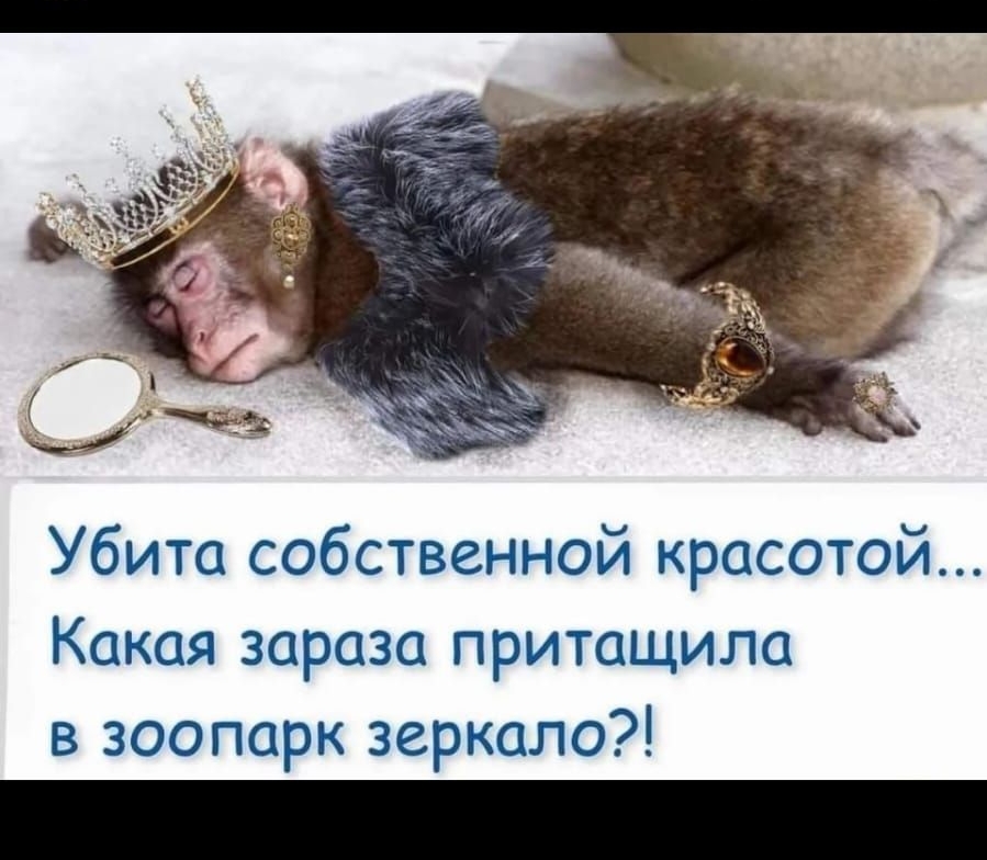 Убита собственной красотой Какая зараза притащила в зоопарк зеркало