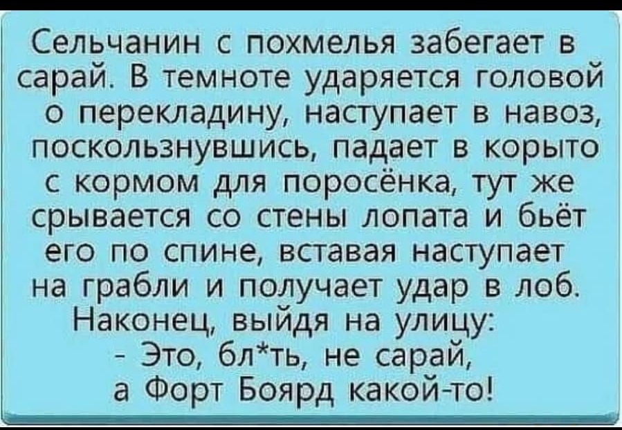 Сельчанин с похмелья забегает в сарай В темноте ударяется головой о перекладину наступает в навоз поскользнувшись падает в корыто с кормом для поросёнка тут же срывается со стены лопата и бьёт его по спине вставая наступает на грабли и получает удар в лоб Наконец выйдя на улицу Это бл ть не сарай а Форт Боярд какойто