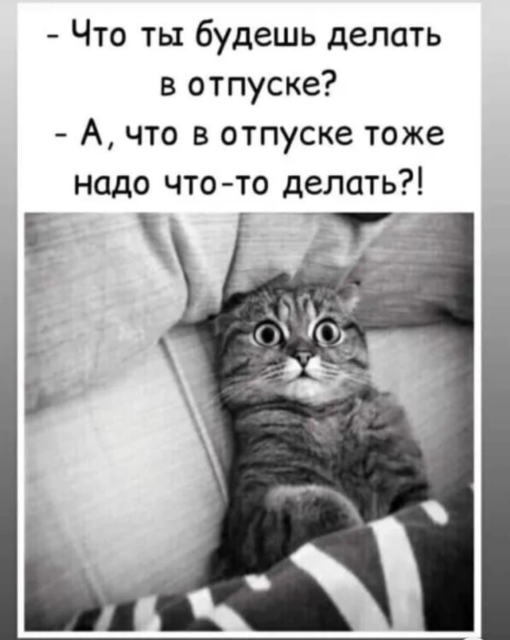 Что ты будешь делать в отпуске А что в отпуске тоже надо что то делать 5