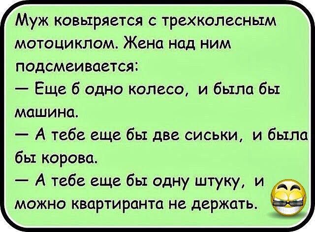 Муж ковыряется с трехколесным мотоциклом Жена над ним подсмеивается Еще 6 одно колесо и была бы МОШИНЦ А тебе еще бы две сиськи и было бы корова А тебе еще бы одну штуку и можно квартирант не держать