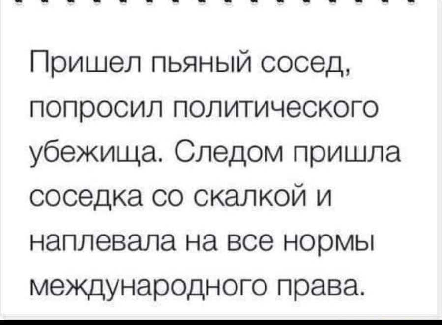 Пришел пьяный сосед попросил политического убежища Следом пришла соседка со скалкой и наплевала на все нормы международного права
