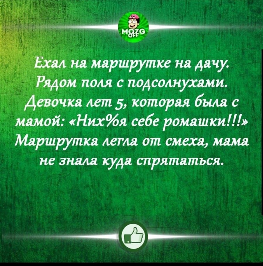 Объяснительная Опоздала на работу потому что утром перелазила через мужа и  немного задеіэжапась - выпуск №1141757