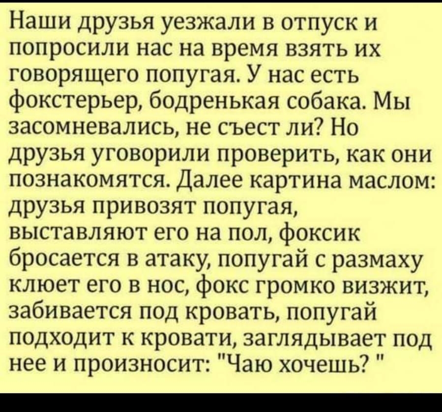 Наши друзья уезжали в отпуск и попросили нас на время взять их говорящего попугая У нас есть фокстерьер бодренькая собака Мы засомневались не съест ли Но друзья уговорили проверить как они познакомятся Далее картина маслом друзья привозят попугая выставляют его на пол фоксик бросается в атаку попугай с размаху клюет его в нос фокс громко визжит забивается под кровать попугай подходит к кровати заг