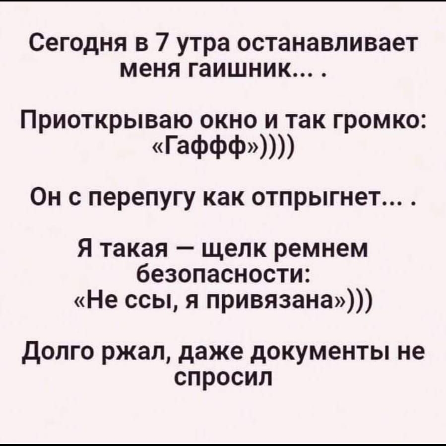 Сегодня в 7 утра останавливает меня гаишник ПРИОТКРЫВЗЮ ОКНО И так ГРОМКО Гаффф Он с перепугу как отпрыгнет Я такая щелк ремнем безопасности Не ссы я привязана ДОЛГО ржал даже дОКУМЕНТЫ не СПРОСИЛ