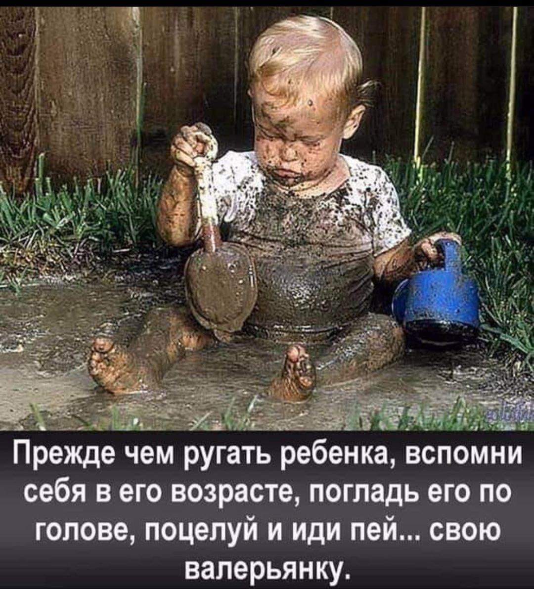 Прежде чем ругать ребенка вспомни себя в его возрасте погладь его по голове поцелуй и иди пей свою валерьянку