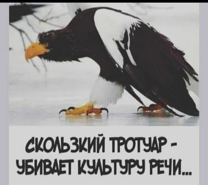 СКОАЬЗКИЙ ТРОТЧАР ЧБИВАЕТ РЕЧИ