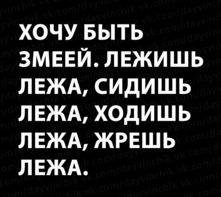 Песня хочу лежать и жрать. Хочу быть змеей лежишь лежа сидишь лежа ходишь лежа жрешь лежа. Хочу быть змеей она даже ходит лежа. Ммм хочу быть змеей лежишь лёжа сидишь лёжа.