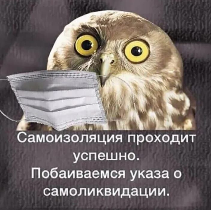 Ь Самбизоляция проходит успешно Побаиваемся указа о самоликвидации
