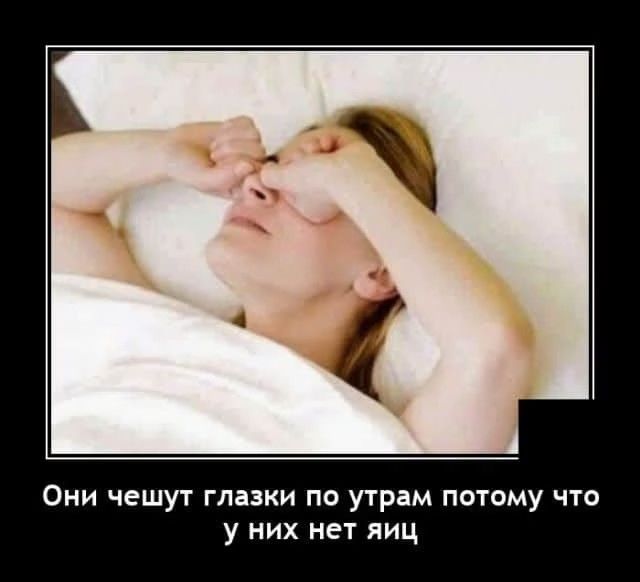 Они чешут глазки по утрам потому что у них нет яиц