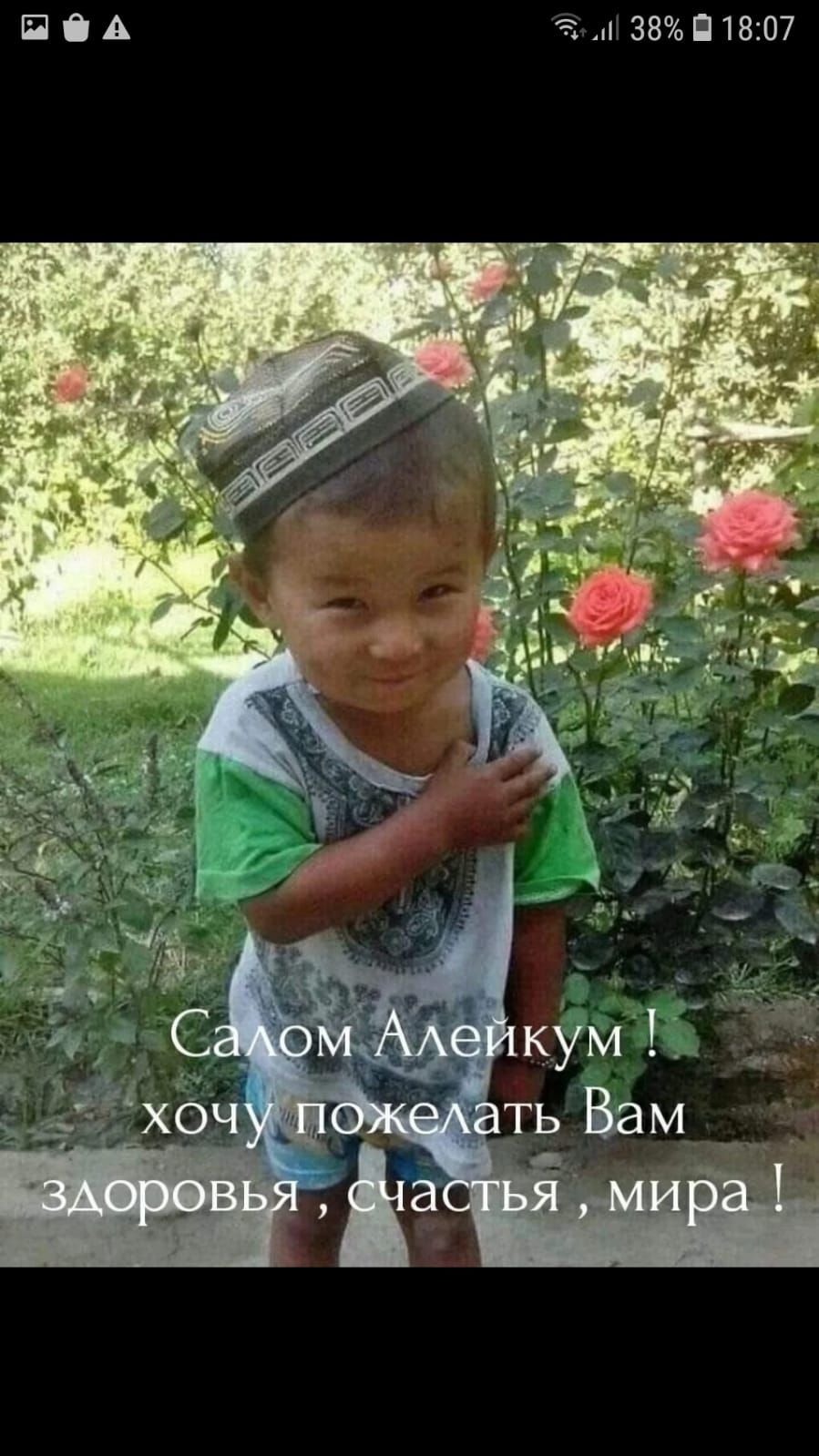 П О А п 38 1807