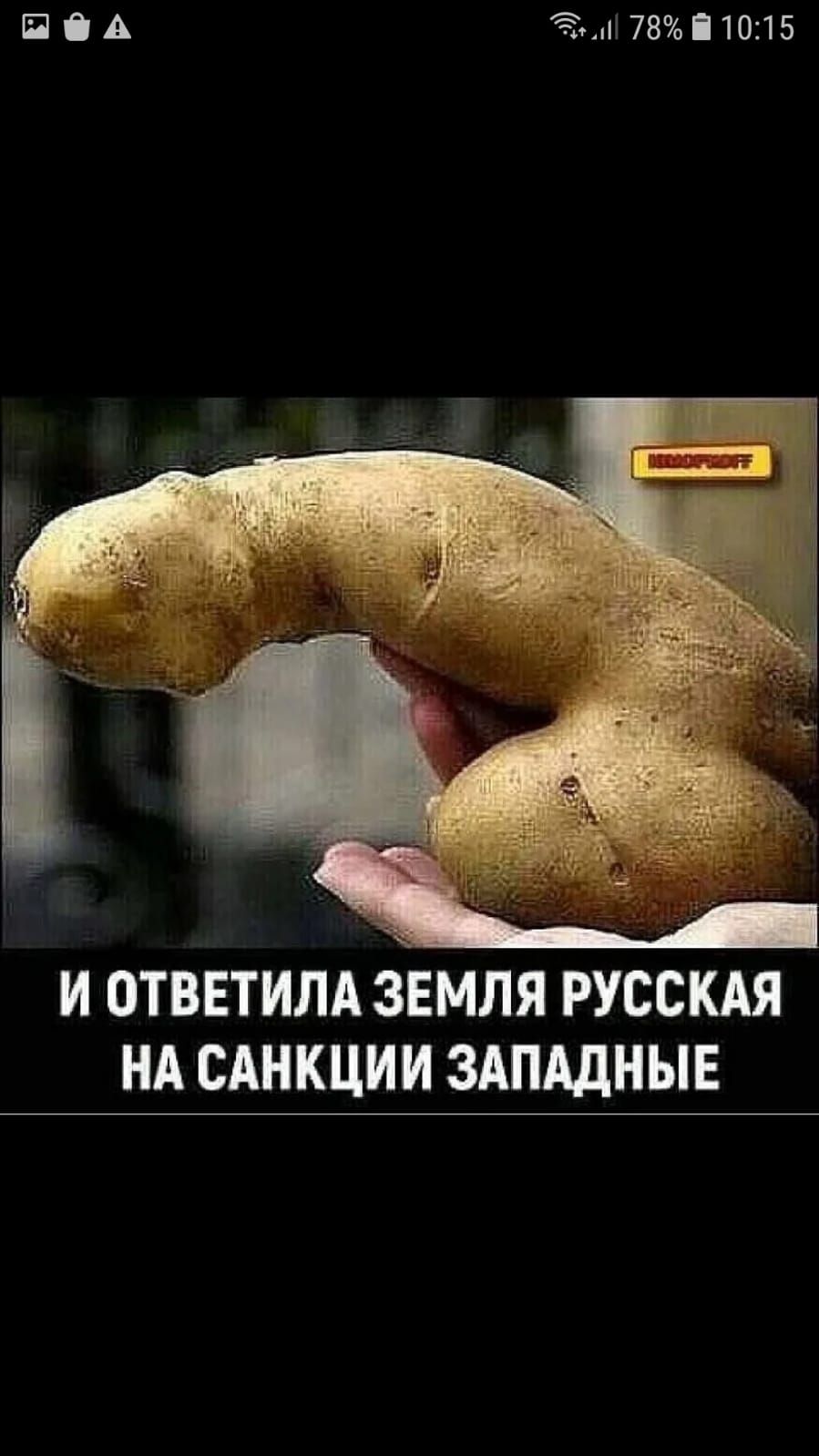 П А ЁЁ 7810115 и ответим звмля русскдя нд сАнкции здпддныв