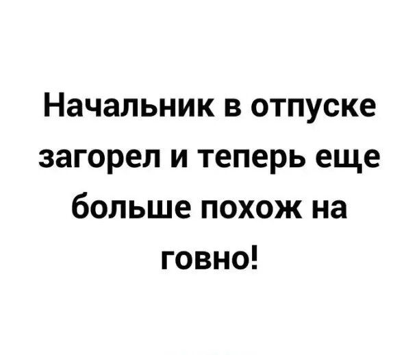 Начальник в отпуске загорел и теперь еще больше похож на говно