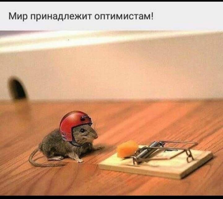 Мир принадлежит оптимистам