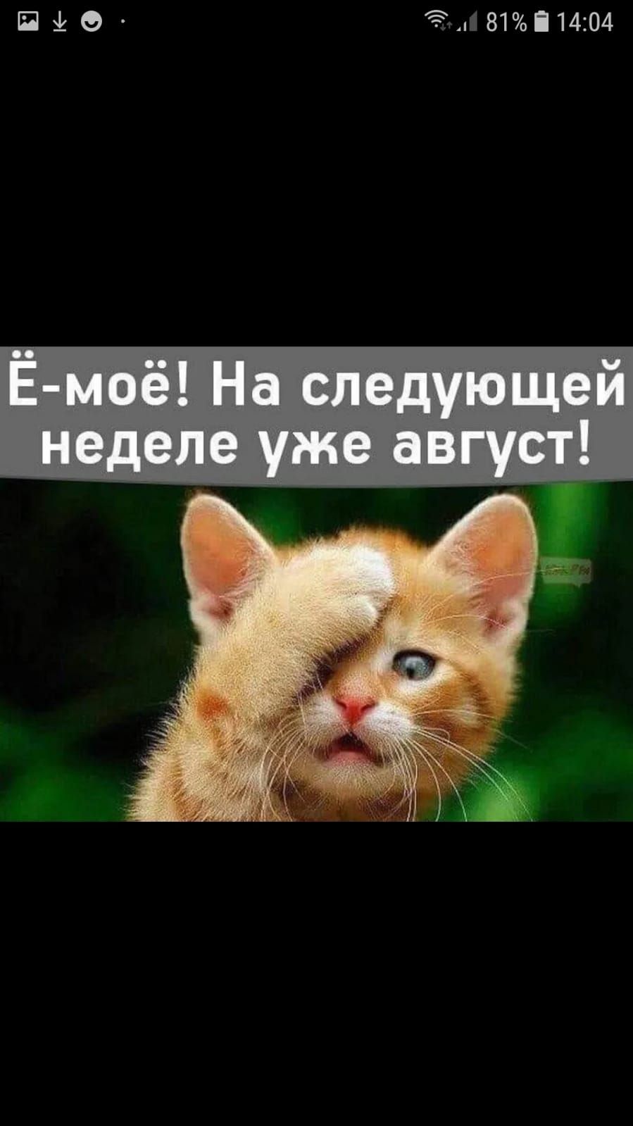 4 и 4 т Ёі0