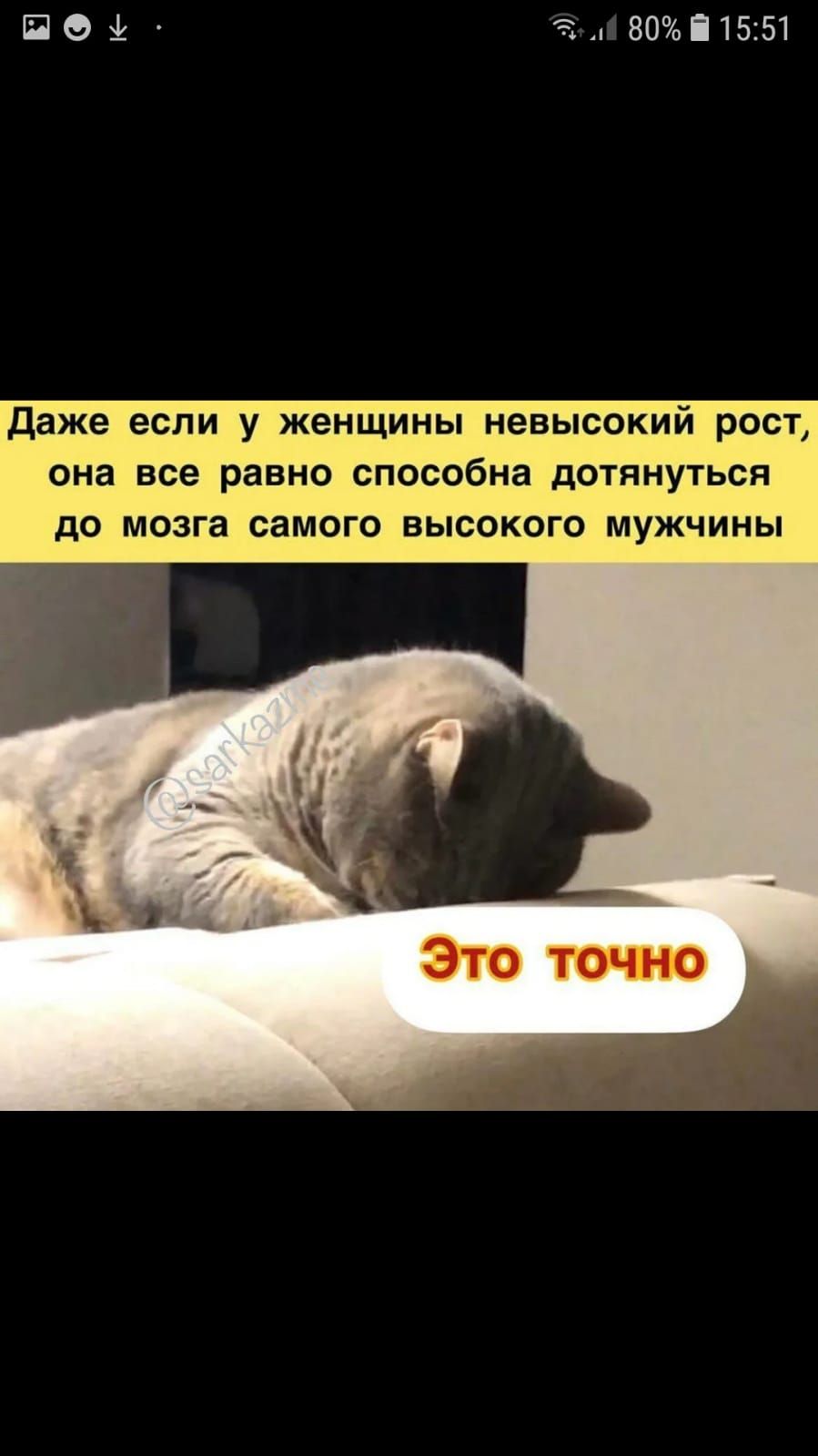 ПОі Эд 80і1551 даже если у женщины невысокий рост она все равно способна дотянуться до мозга самого высокого мужчины Это точно