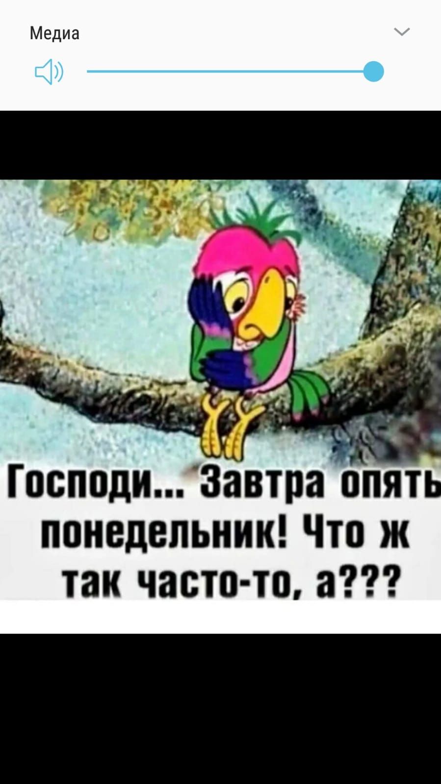 Медиа ГОБППДИ Завтра ППЯТЬ ПОНЕДЕЛЬНИК Что Ж так часто то а