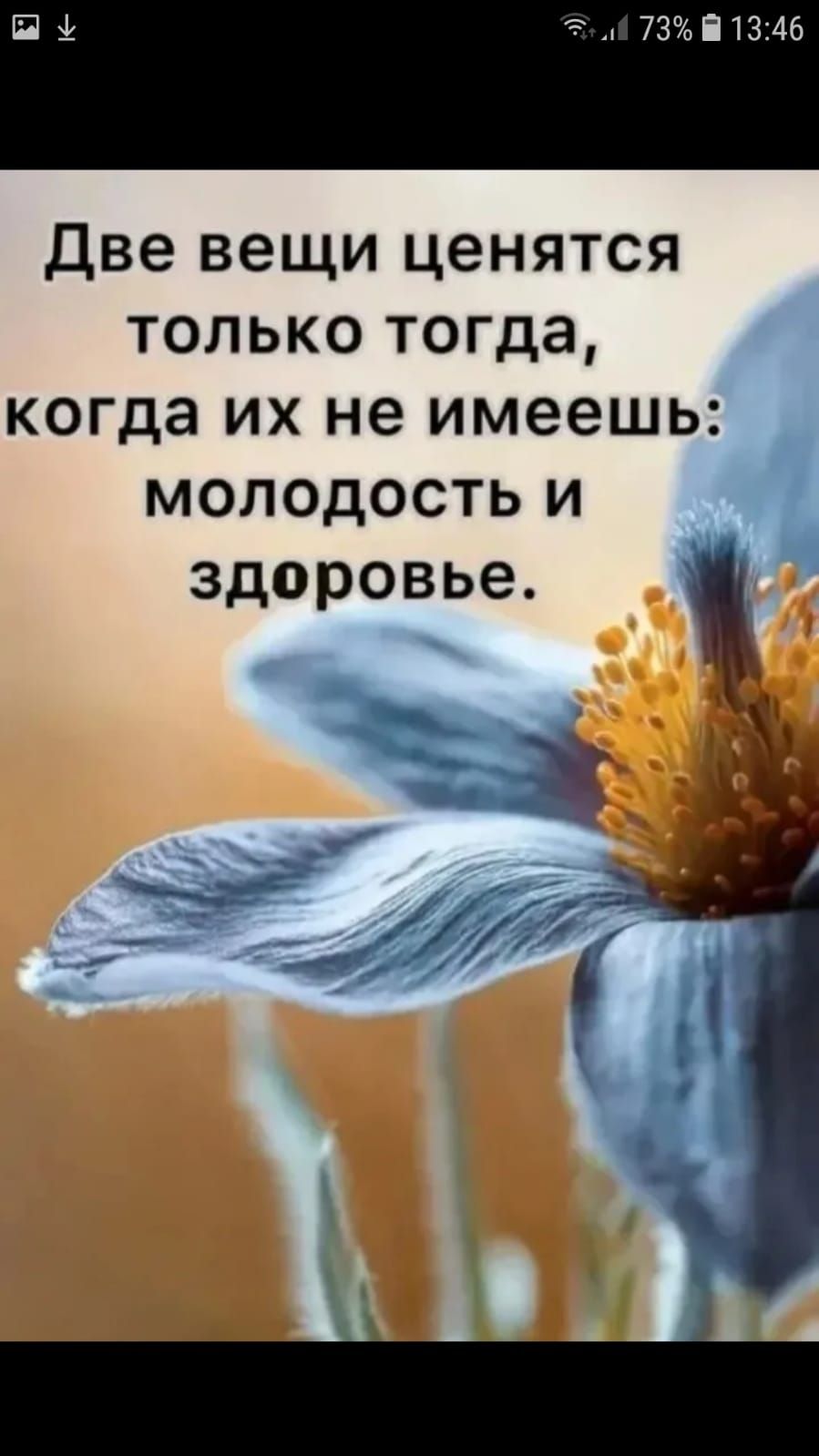 Две вещи ценятся только тогда когда их не имеешь молодость и здоровье