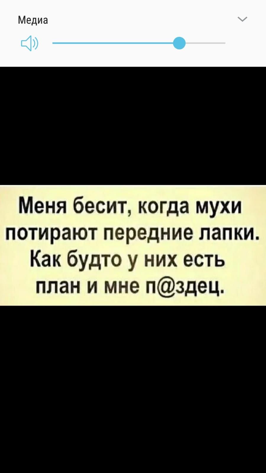 Меня бесит когда мухи потирают передние папки Как будто у них есть план и мне пздец