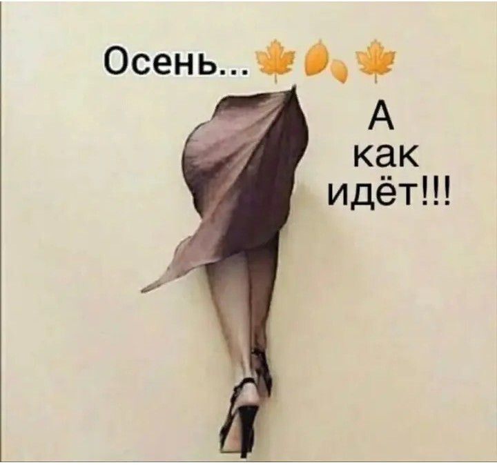 Осень0 А кёк идет