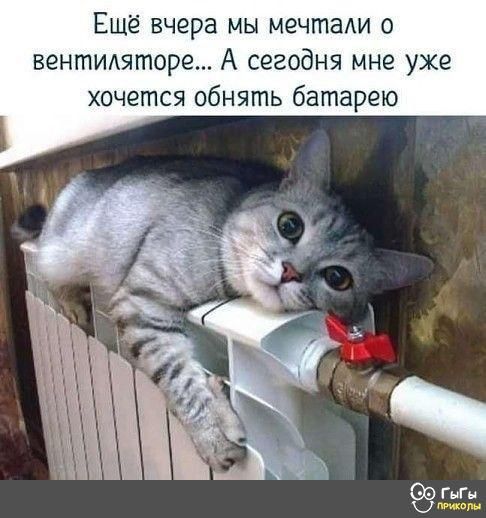 Ешё вчера мы мечтали о вентидяторе А сегодня мне уже хочется обнять батарею