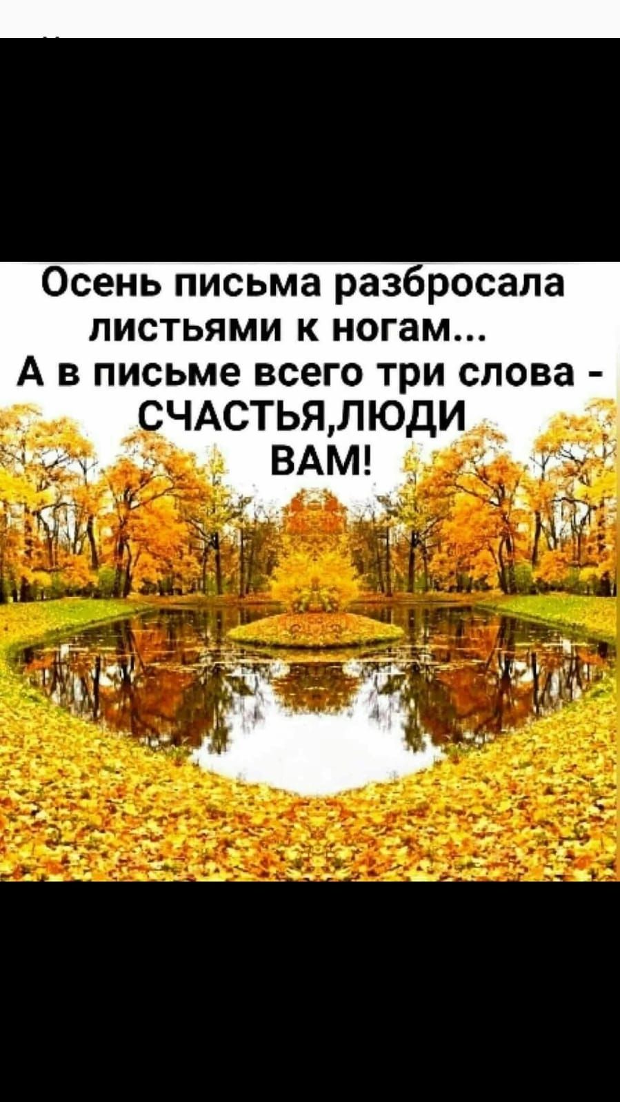 Осень письма разбросала листьями к ногам А в письме всего три слова ЧАСТЬЯПЮдИ ВАМ
