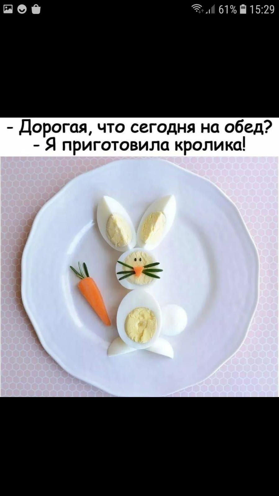 61ЪП15129 Дорогая что сегодня на обед Я приготовила кролика
