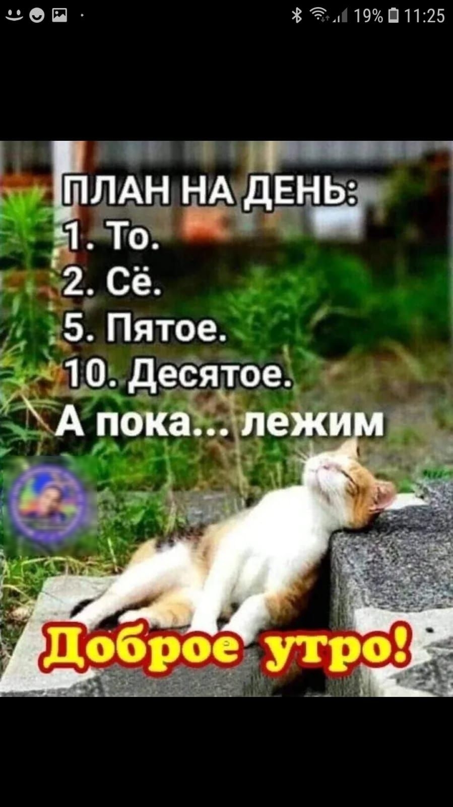 ЦОП Эд 19П1125 10 десёядоф ЗА покатіьхяежи _